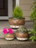 Elegant Jade Planters Trio Set for Indoor and Outdoor Decor