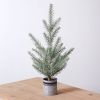 Tabletop Fir Tree in Galvanized Pot