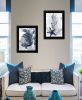 "Ocean Collection" 2-Piece Vignette By Stellar Design Studio, Ready to Hang Framed Print, Black Frame